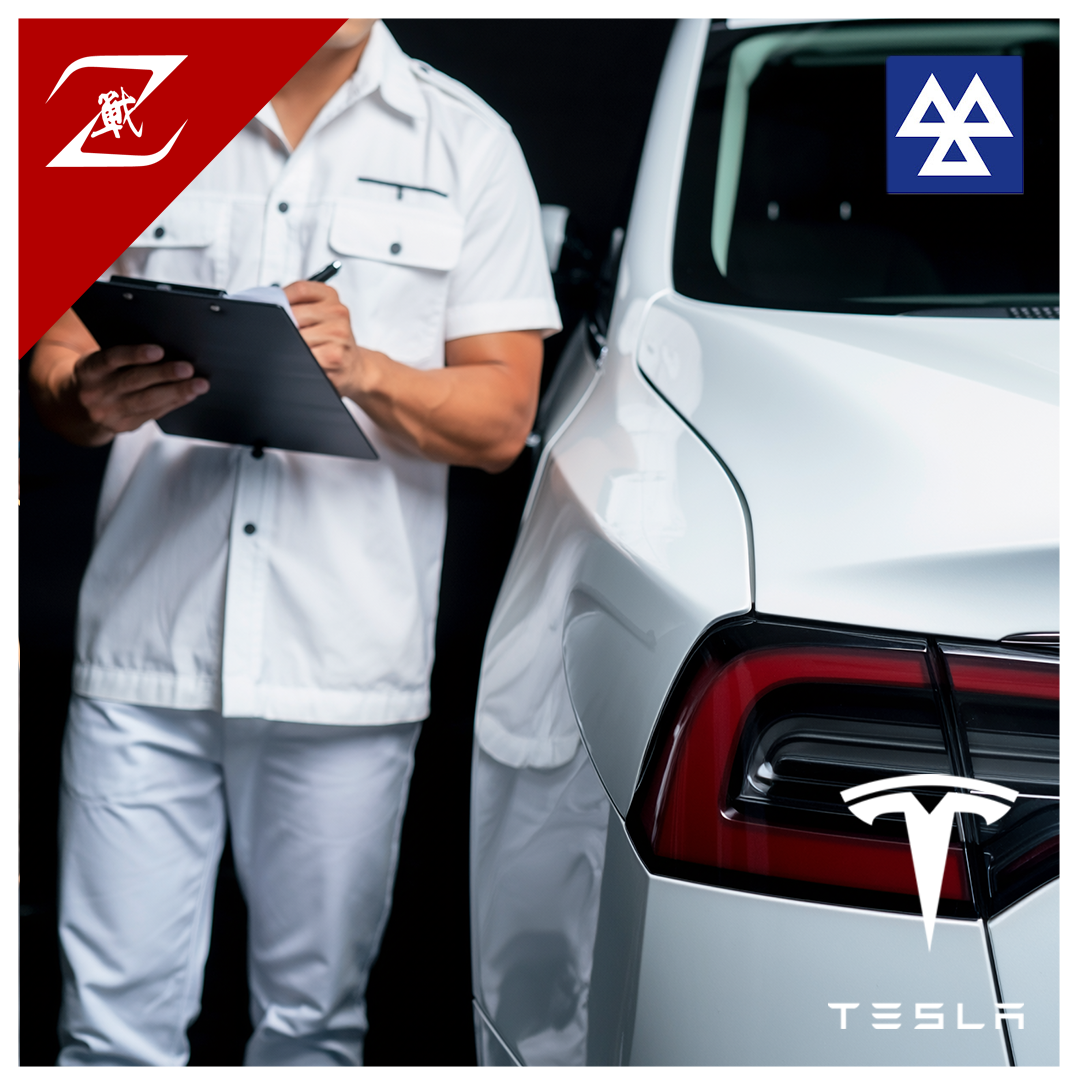 Tesla Limited Government Vehicle Inspection Package