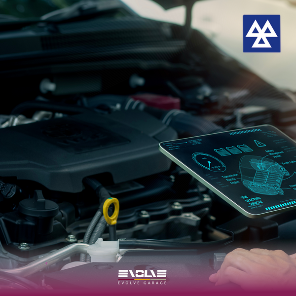 Electric Vehicle Inspection Package