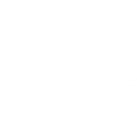 頂級賽道車型體驗