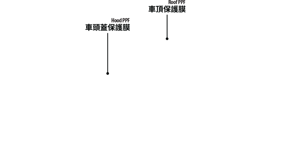 Text Label 3