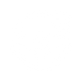 車輛控制 (Vehicle Control)