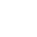 專業教練指導
